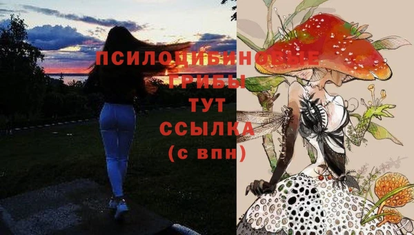 прущие крисы Нея