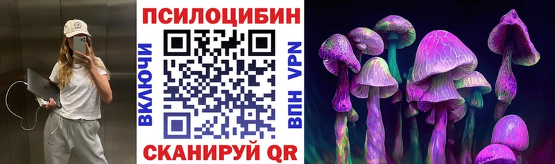 Псилоцибиновые грибы Psilocybe  наркота  Адыгейск 